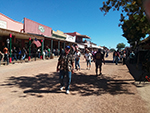 The Reel Cowboys at Tombstone Heldorado Days on October 19-20th, 2019
